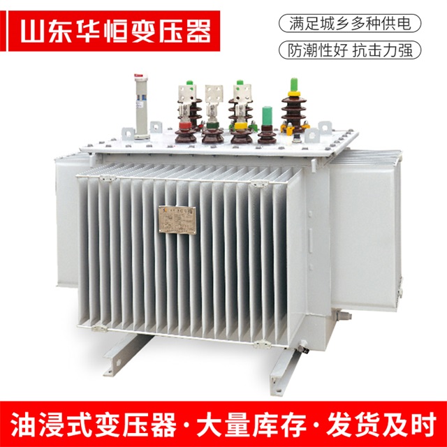 S13-10000/35米易米易米易电力变压器